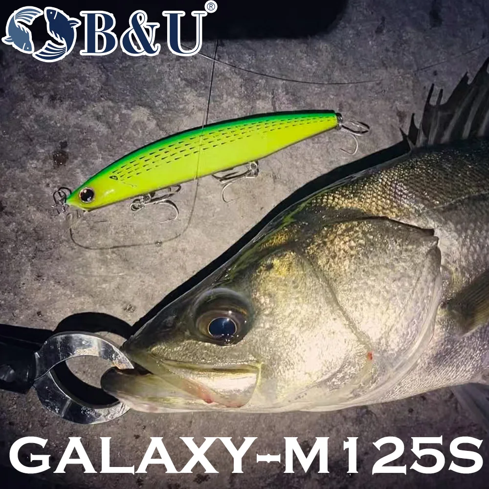 B&U 125mm Sinking Minnow Sea F - Fishing Lure Jerkbait 评论和价格